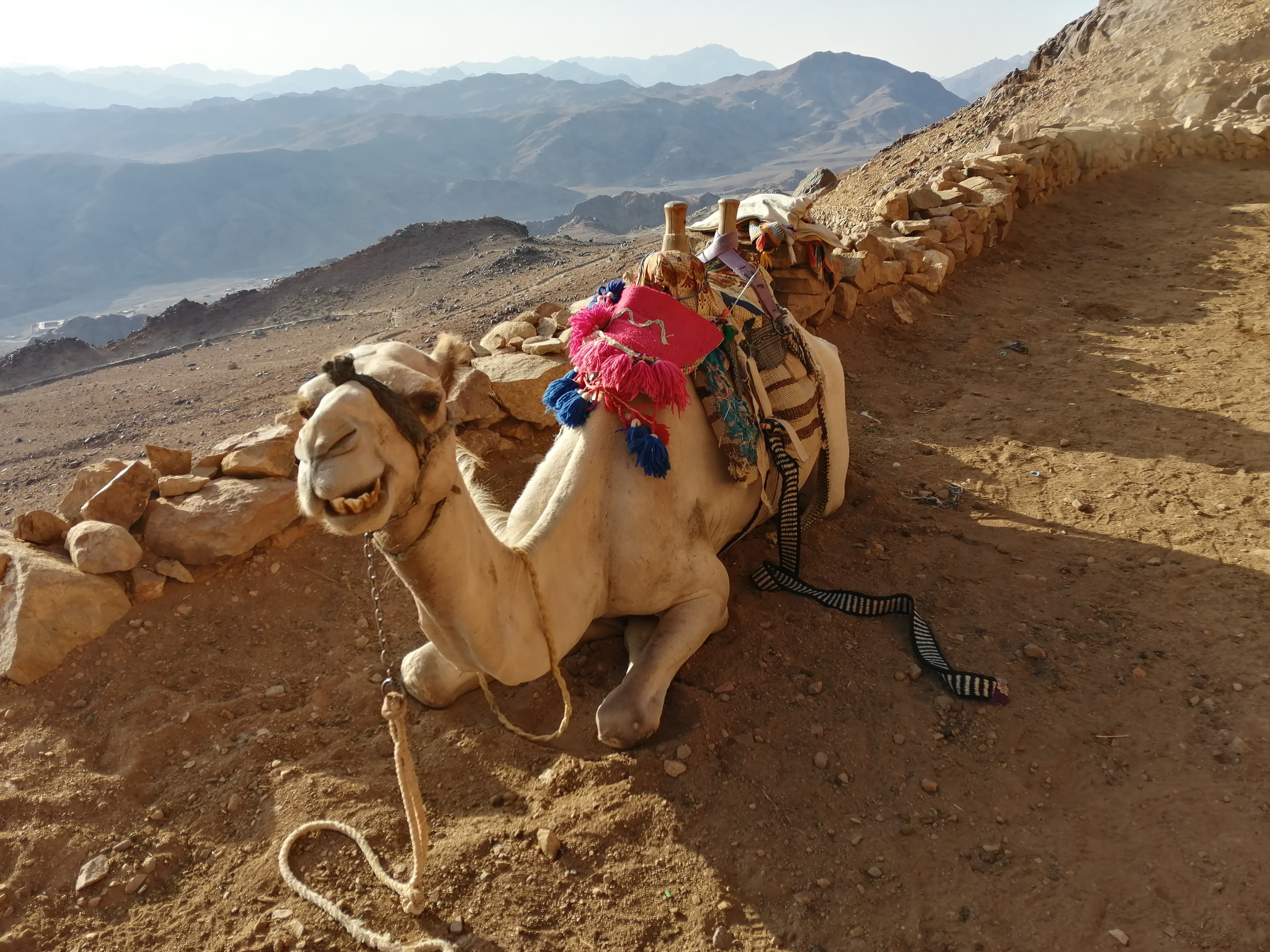 Stáž v Egyptě - Image 11